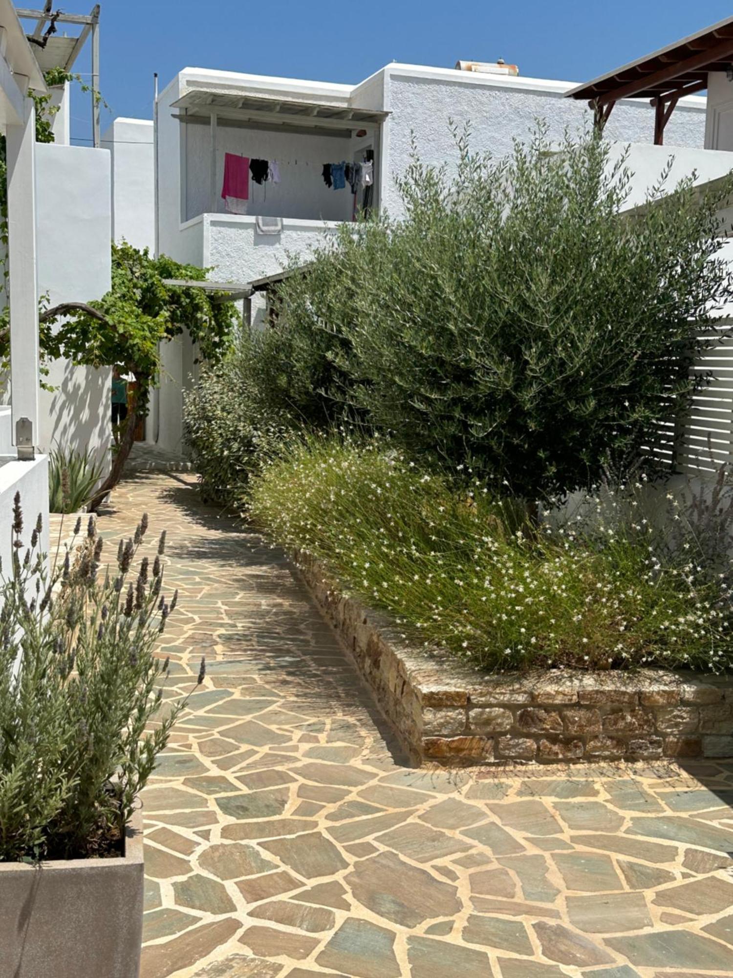 Levanda Guest Houses Antiparos Buitenkant foto